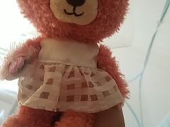 -成都泰迪熊博物馆