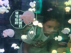 -广州海洋馆