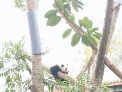 -广州动物园