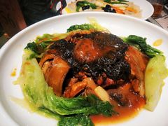 -大树头森林餐厅(番禺广场店)