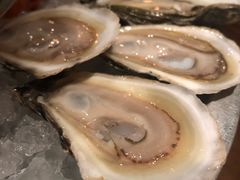 -斯普汇生蚝牛排馆(中骏世界城店)