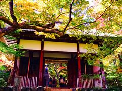 -常寂光寺