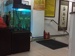 -叶氏水木堂盲人医疗按摩所