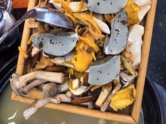 -草墩罗非鱼庄•野生菌•腊排骨(七星街上段店)