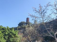 -南沙蒲洲花园