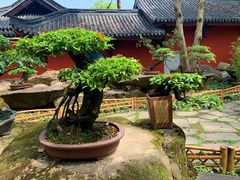 -成都武侯祠博物馆