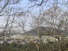 -树山生态村