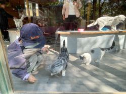 -萌宠亲子动物乐园(槐房万达店)