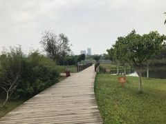 景点-眉山湿地公园(东坡区)