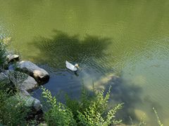 -北京张裕爱斐堡酒庄