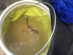 -白河湾生态旅游一条川