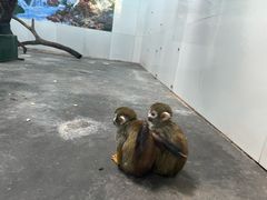 -西安秦岭野生动物园