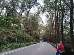 -铁山坪森林公园