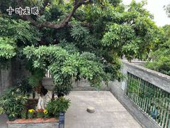 -碧江金楼