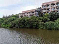 -厦门国家会计学院