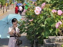 景点-嬉乐湾休闲旅游区
