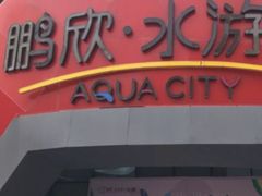 -鹏欣水游城