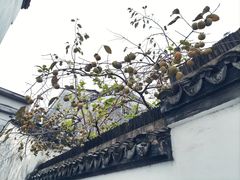 -丝绸小镇荻港古村