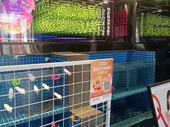 -涿派·炝锅鱼(涿州店)