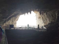 -百色大石围天坑群