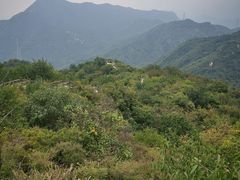 -大岭沟猕猴桃谷风景区