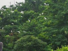 -下渚湖国家湿地公园科普馆