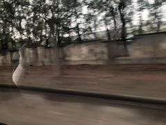 -胜华驾校·小猫学车(银都店)