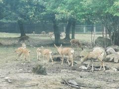 -西安秦岭野生动物园