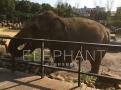 -野生动物园-停车场