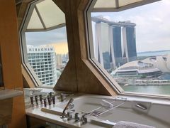 -新加坡丽思卡尔顿美年酒店