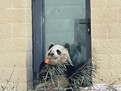 -石家庄市动物园