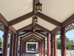 -长洲岛