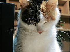 -天一朴素(武汉大学店)