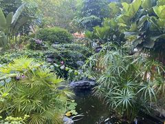 -聚缘·湘味音乐餐厅party(罗湖店)