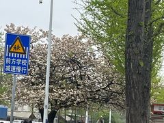 -杨记正宗留一手烤鱼