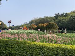 -雀儿山公园