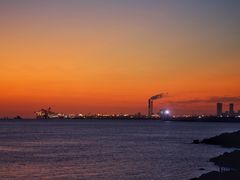 -上海吴淞炮台湾国家湿地公园