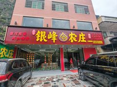 -银峰农庄·特色烧鸡·鲜无花果浸鸡