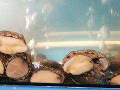 -华阳海鲜市场(府西路店)