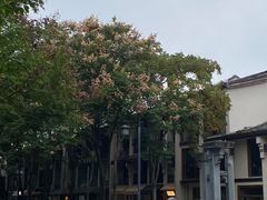 -小河直街历史文化街区