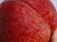水蜜桃-盒马鲜生(莱蒙都会店)
