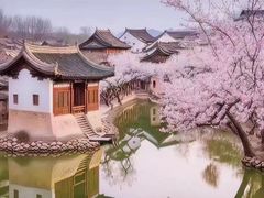 -双合园·海鲜水饺青岛菜(九水东路店)