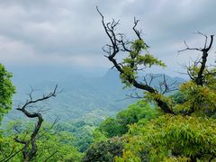 -青城山