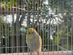 -时光花园(白鹭洲店)