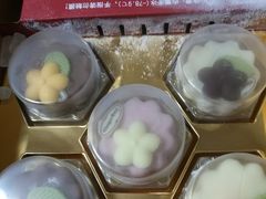 -大宁郁金香公园-停车场