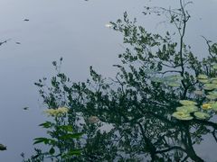 -茅家埠