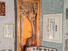 -北京中医药大学-中医药博物馆