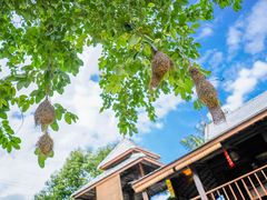 -清迈夜间动物园