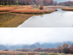-大九湖
