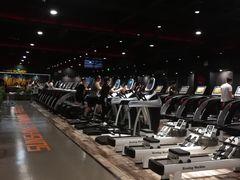 -梧桐阳光国际游泳健身会所(亚运村店)